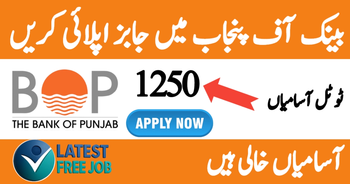 Latest BOP Jobs 2025 – Online Application, Eligibility & Benefits