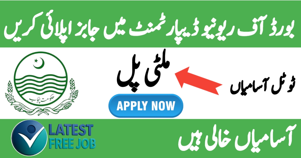 Latest Board Of Revenue BOR Jobs 2025 Apply Online